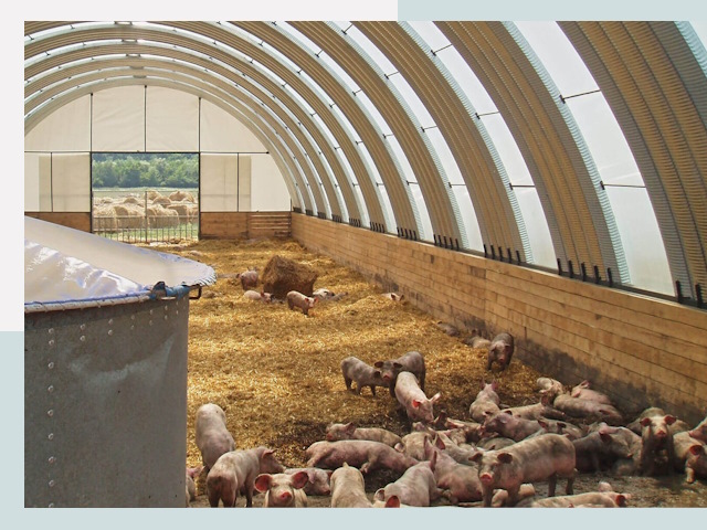 Строительство свинарников в Салавате