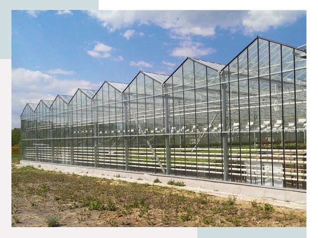 Строительство теплиц в Салават от 640 руб. за м²
